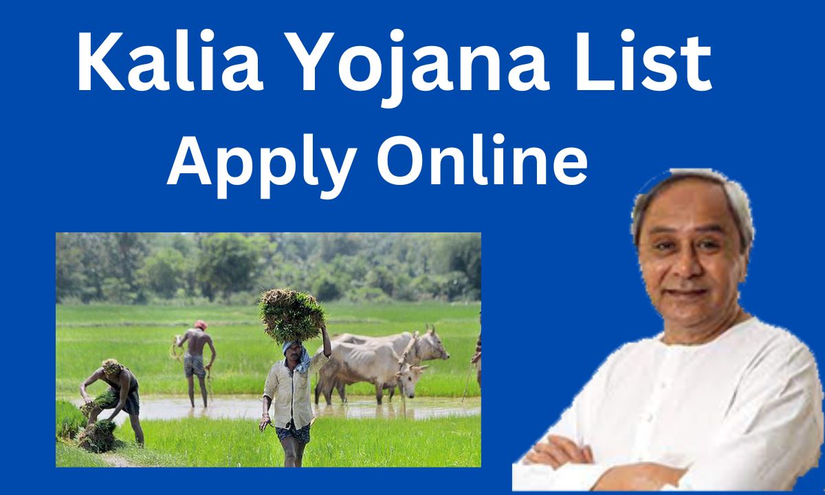 Check Kalia Yojana List 2023: Verify Beneficiary Names and Status for 1st, 2nd, 3rd Lists