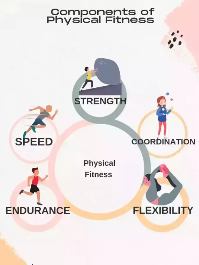 what are the 12 components of physical fitness