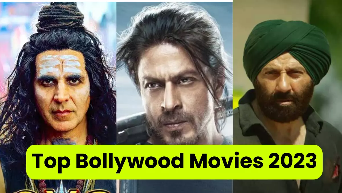 Top Bollywood Movies 2023: This year these movies have raised the flag of success!