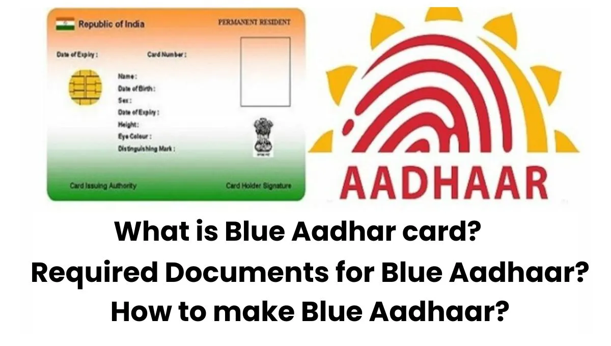 What is Blue Aadhar card? Make it quickly!