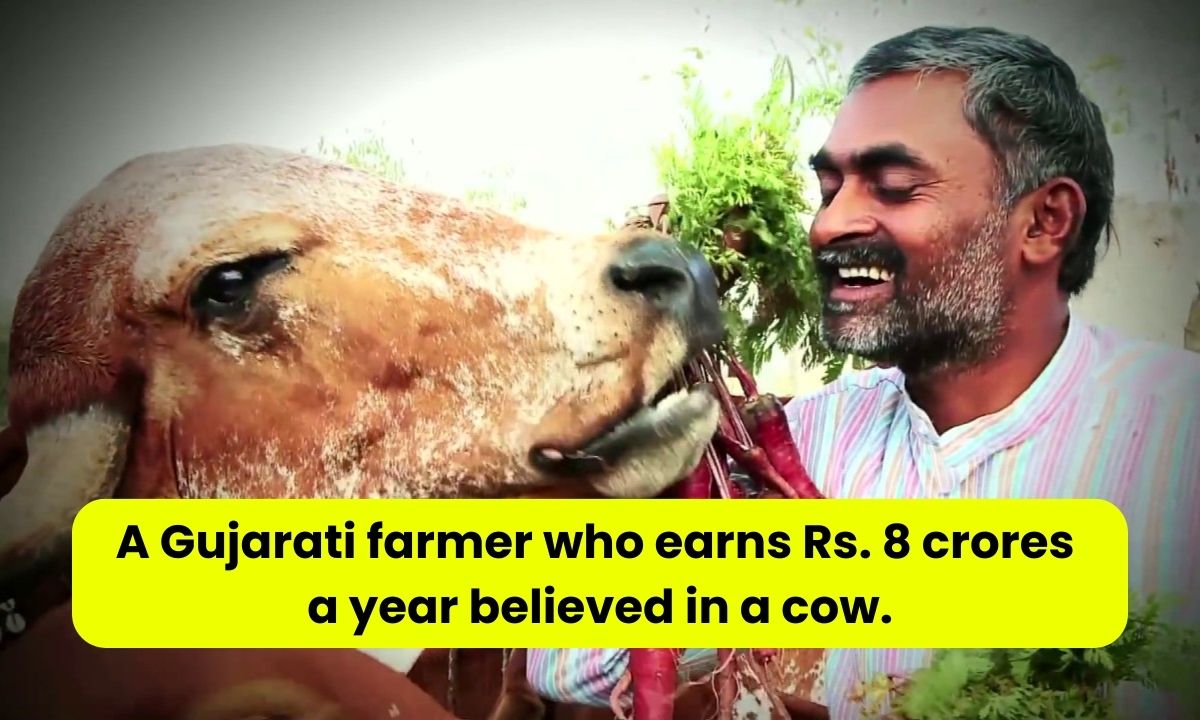 Ramesh Rupareliya Success Story A Gujarati farmer who earns Rs. 8 crores a year believed in a cow.