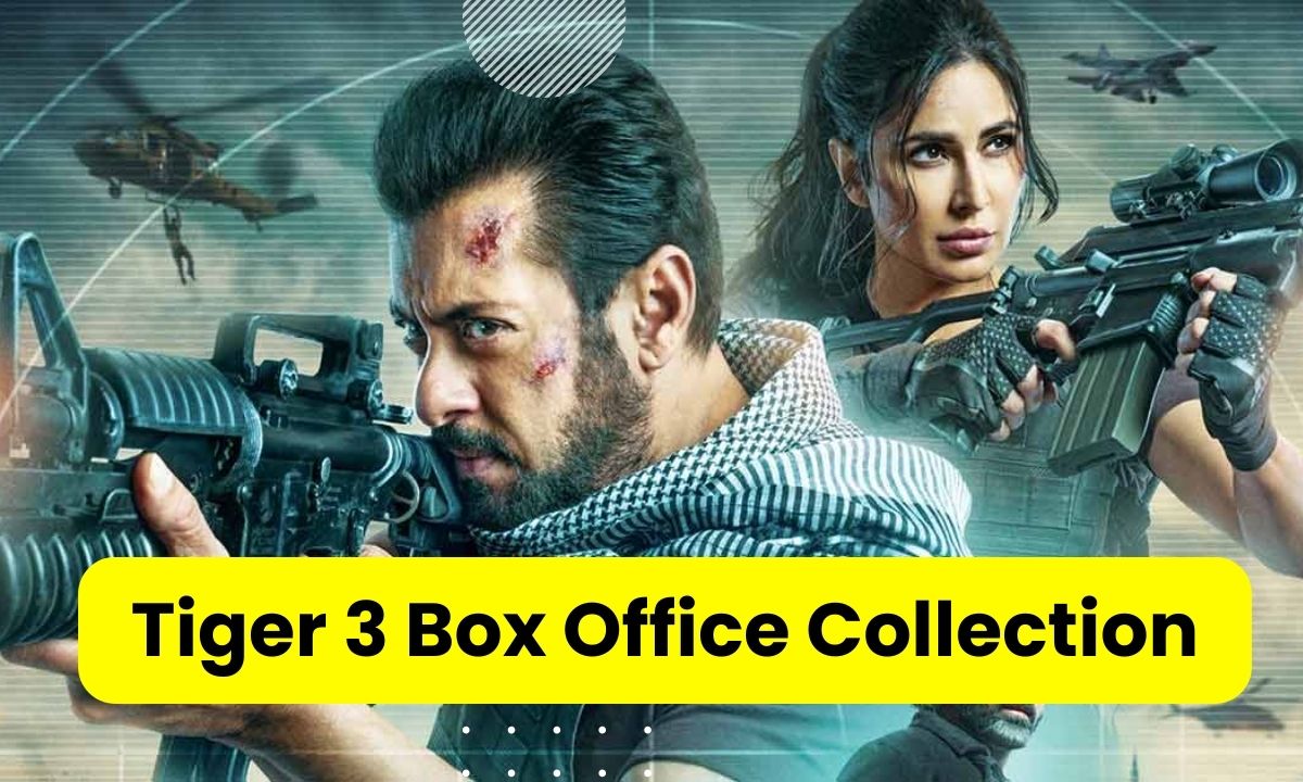Tiger 3 Box Office Collection Day 8 Tiger 3 failed at the box office on the eighth day!