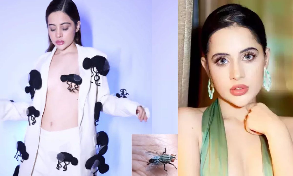 Urfi Javed Makkhi Dress Urfi did not leave flies in the house, used them for 'fashion'!