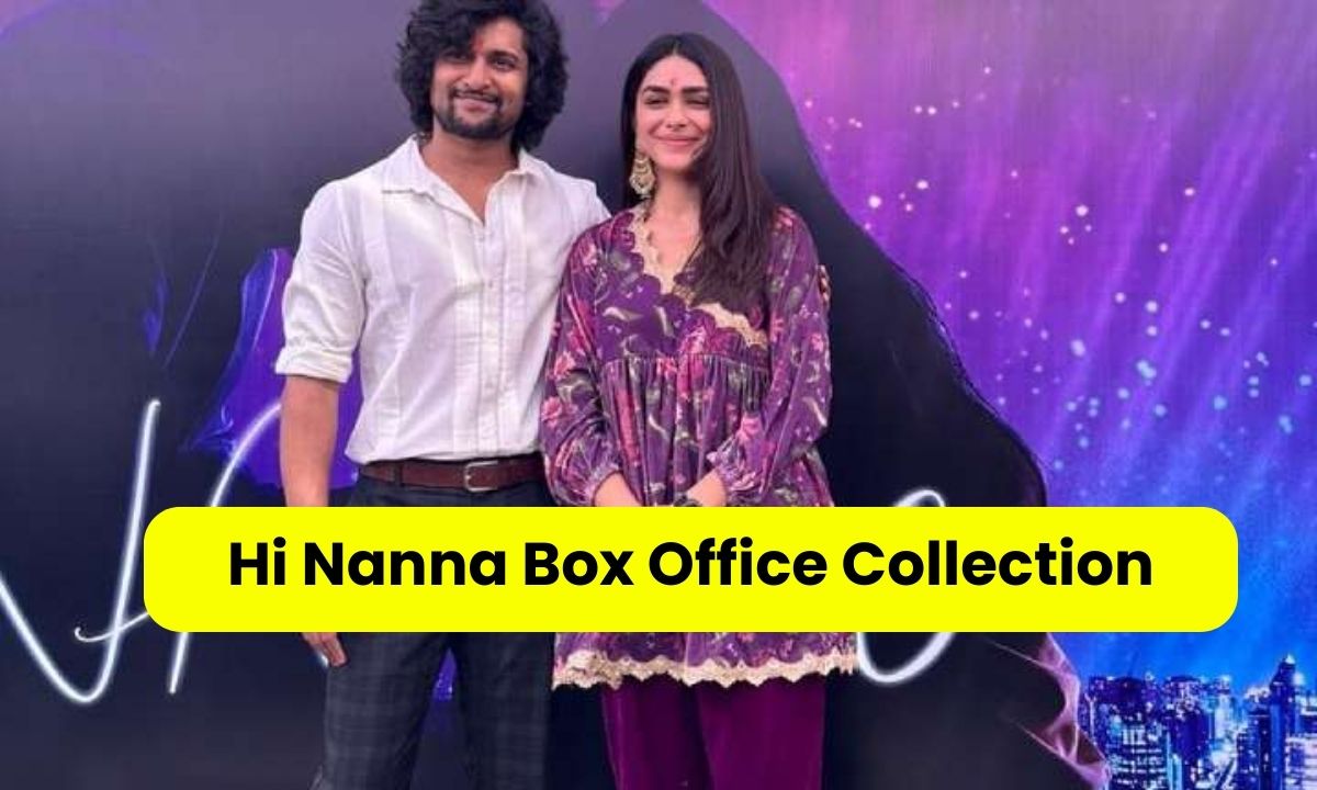 Hi Nanna Box Office Collection Day 1 Nani did the magic.. first day all crores.. sensational collections there