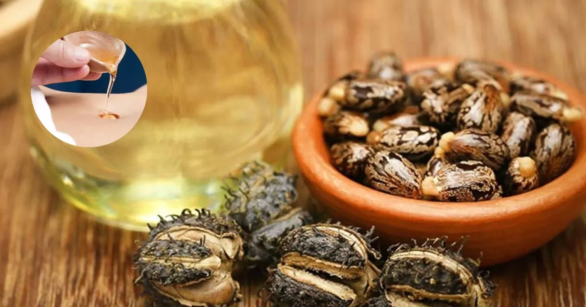 Castor Oil in Belly Button: Benefits, Uses & Side Effects